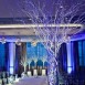 winter wedding decor