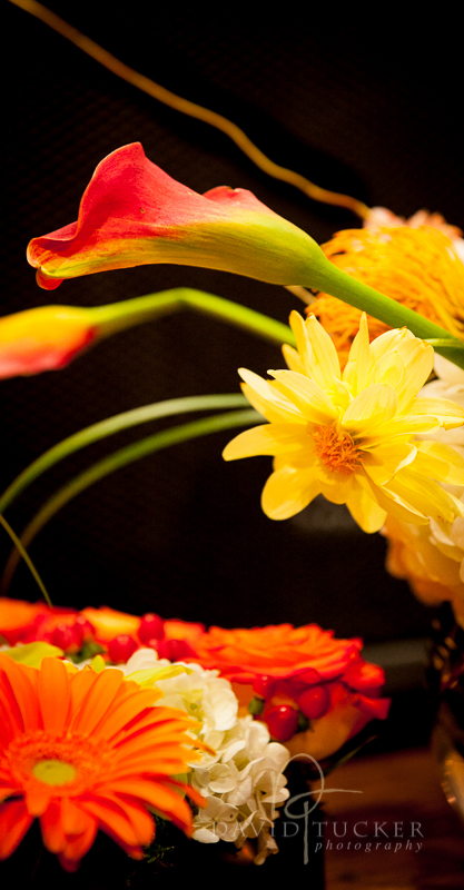 Hindu Jewish wedding reception