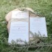 Outdoor Indian fusion wedding invitations