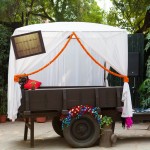 Indian wedding brunch