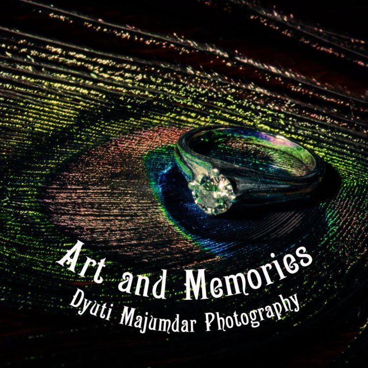 Indian wedding photographer logo