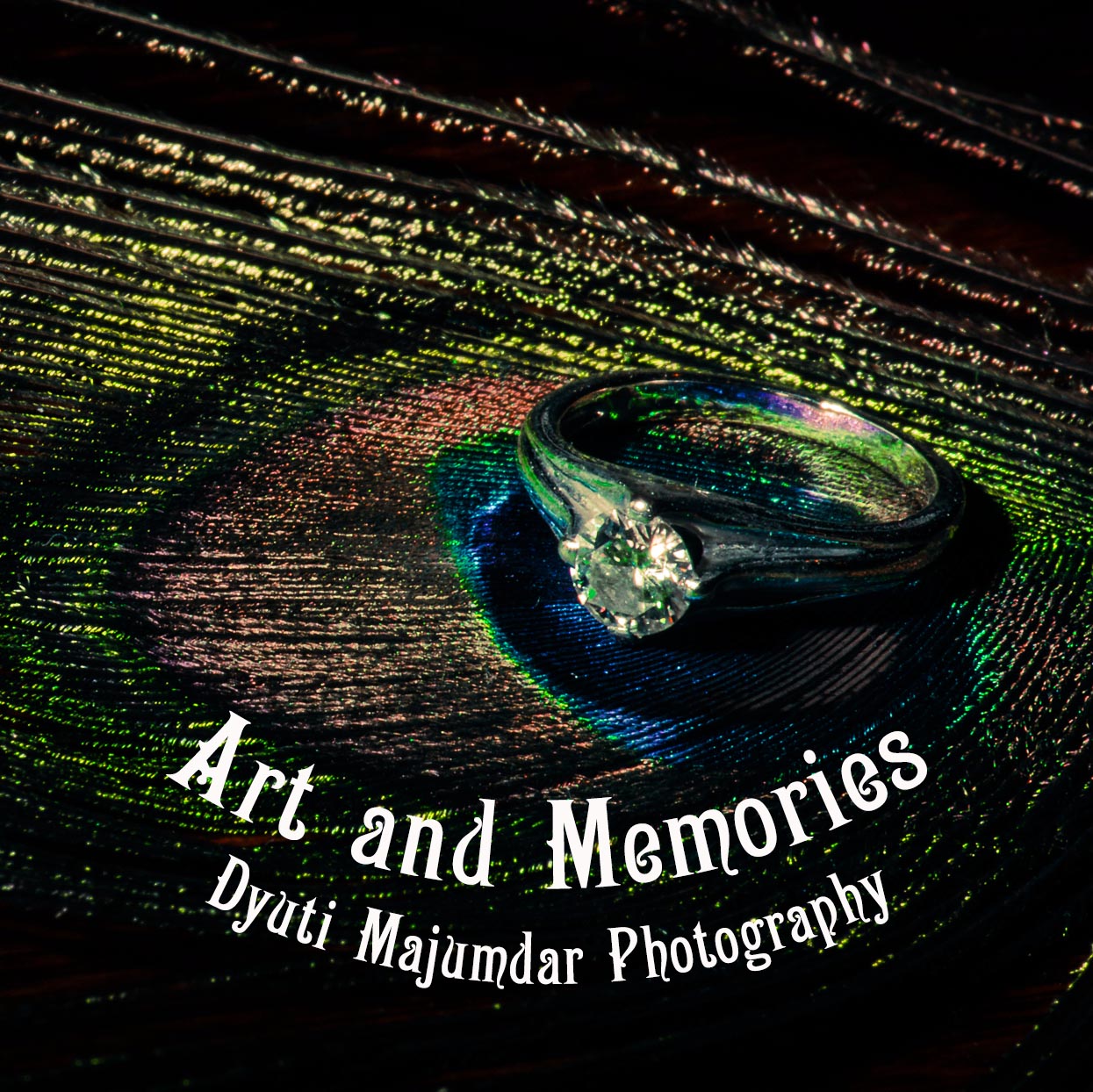 Indian wedding photographer logo
